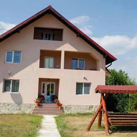 Pensiunea Aly Bumbesti Pitic Exteriér fotografie