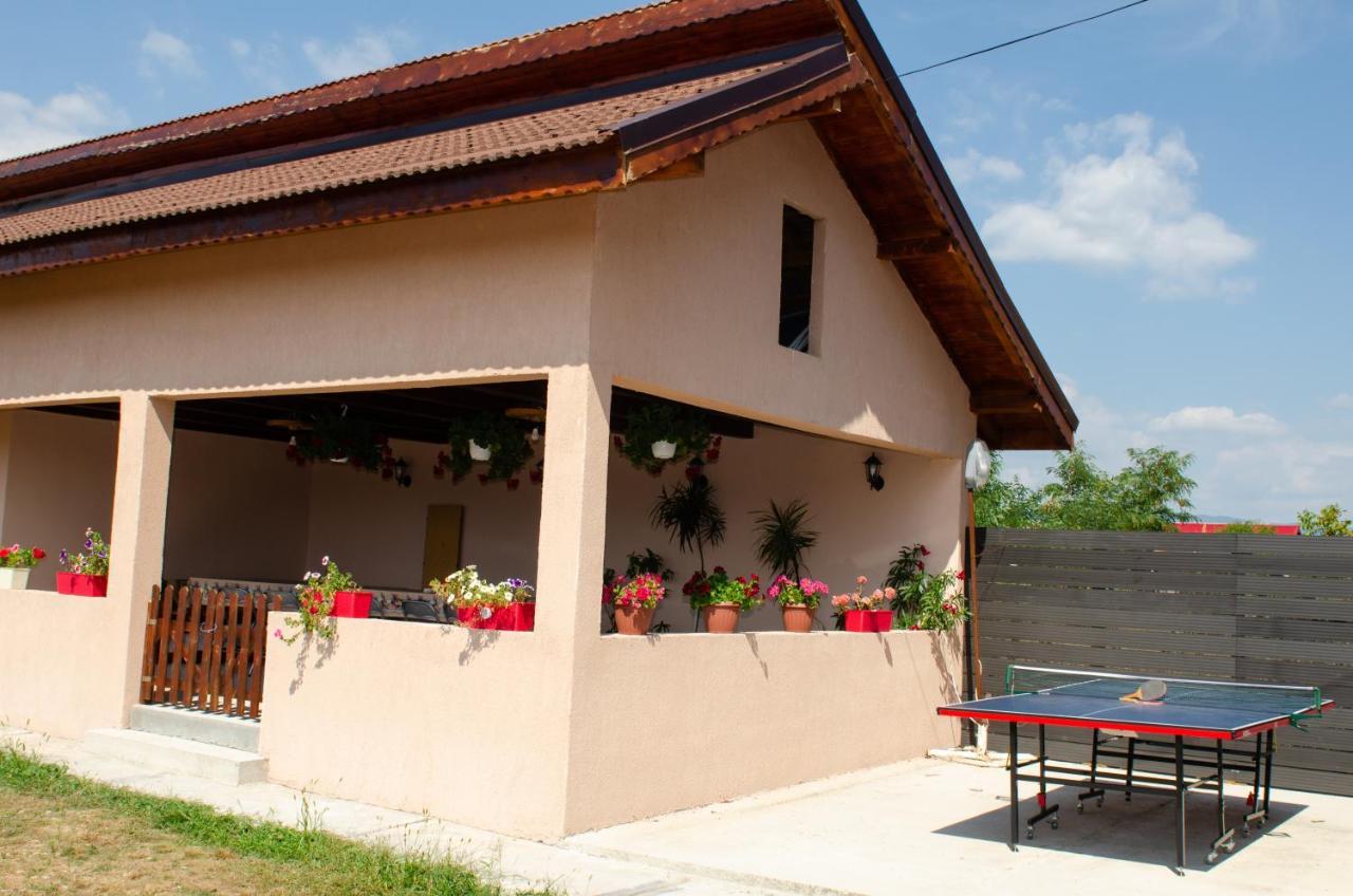 Pensiunea Aly Bumbesti Pitic Exteriér fotografie
